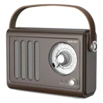 مكبر صوت راديو عتيق Green Lion – بلوتوث 5.3 وراديو FM – بطارية 6.5 ساعة – بني